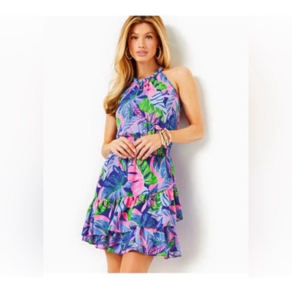 lilly pulitzer Pamelyn Lileeze Ruffle Dress 6